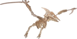 Woodcraft drvene 3D puzzle pterosaur