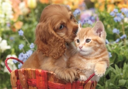 Puzzle maxi 104 dijelova Slatki prijatelji CLEMENTONI