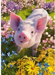 Cherry Pazzi puzzle Voliš me? 500 dijelova