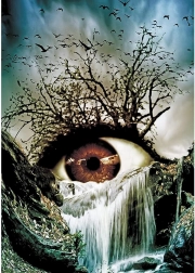 Dijamantno slikanje Oko