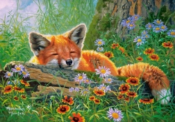 Puzzle od 500 dijelova Foxy Dreams