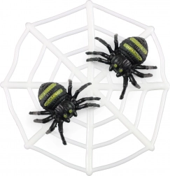 Paukova mreža s paucima