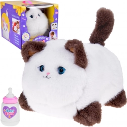 Interaktivna mačkica Puszek - mijauče, prede i pomiče oči