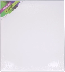 Slikarsko platno 40 × 50 cm