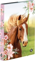 Kutija za bilježnice A5 s motivom konja