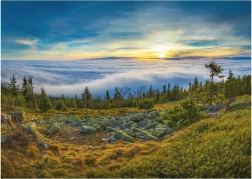 Puzzle Dino Ještjed Pogled 1000 dijelova