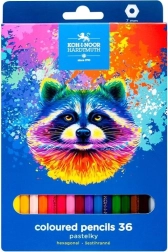 Šesterokutne bojice Rakun 36 kom