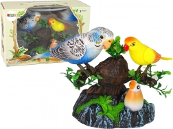 Pjevajući pokretni papagaji Šaroliko drvo