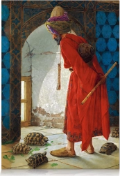 STAR puzzle dreser kornjača – 1000 komada