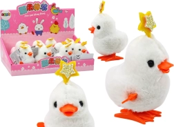 Navijeni Plesni Pile s Zvjezdicom