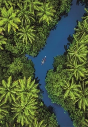 Slagalica sa tropskim pogledom iz ptičje perspektive