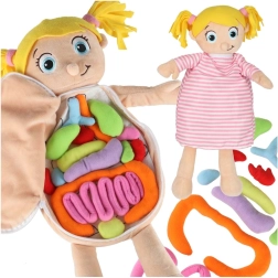 Plišana anatomska lutka za djecu Montessori