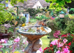 Puzzle Ljetne ptice 1000 dijelova