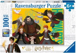 Harry Potter: mladi čarobnjak puzzle 100 dijelova