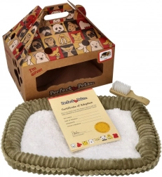 Dišuće štene za udomljavanje Shiba