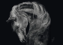 Slagalica Snaga konja 1000 dijelova