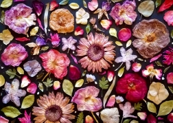 Uživajte u puzzli ružičastoj 1000 komada