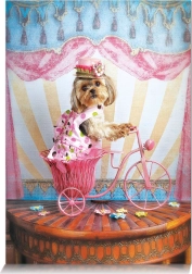 Puzzle Snoviti putnik 500 komada