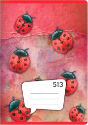 bilježnica A5, 10 listova – linije 12 mm