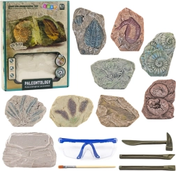 Paleontološki set iskopavanja gipsani blok s alatima