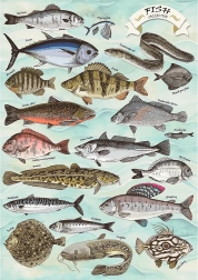 Slagalica TREFL Premium Plus Finders Keepers: ribe 500 dijelova