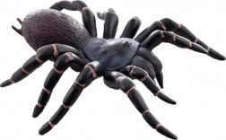 Plastična tarantula – realistična igračka za djecu