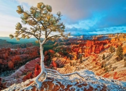 Puzzle EUROGRAPHICS zimska zora, Bryce Canyon (1000 dijelova)