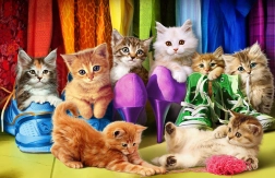 Puzzle EUROGRAPHICS Mačji ponos 1000 dijelova