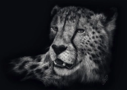 Slagalica brzina geparda 1000 dijelova SCHMIDT