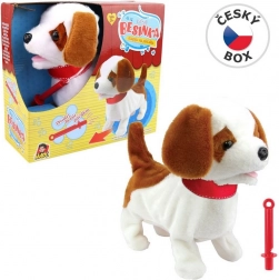 Psić Besinka sa zviždaljkom