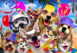 Alipson Puzzle Selfie Plažna zabava 1000 dijelova