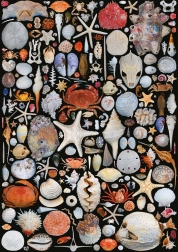 Puzzle S plaže 1000 dijelova PIATNIK