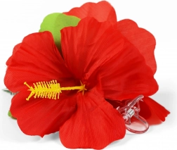 Cvjetna ukosnica Hibiscus