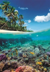 Puzzle Ljetni raj 1000 dijelova od Clementonija