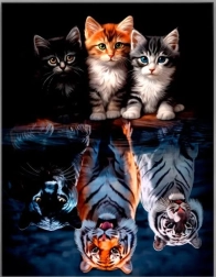 Dijamantno slikanje – mačke i velike mačke 30 × 40 cm