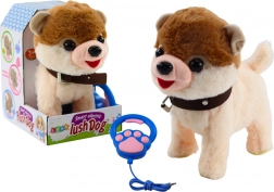 Interaktivni psić na uzici