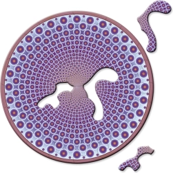 Curiosi okrugla mini slagalica Picoli Body, 33 dijelova