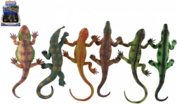 Set gumenih gušterica s vakuumom u kutiji