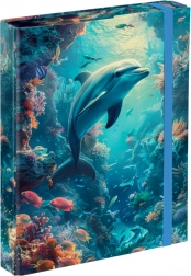 Mape za školske bilježnice BAAGL Dupin A5