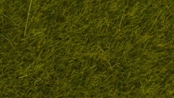 Statička trava Divlja livada 6 mm