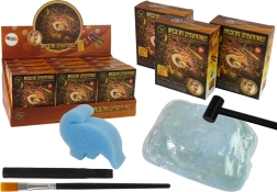 Iskopine drevnih stvorenja – iznenađenje amonit