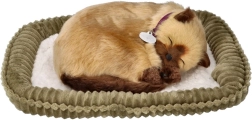 Interactive Breathing Siamese Kitten