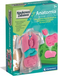 Edukativni set anatomije CLEMENTONI