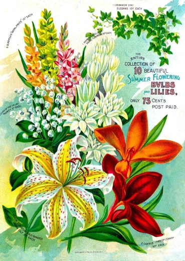 Enjoy puzzle Vintage cvjetni katalog 1000 dijelova