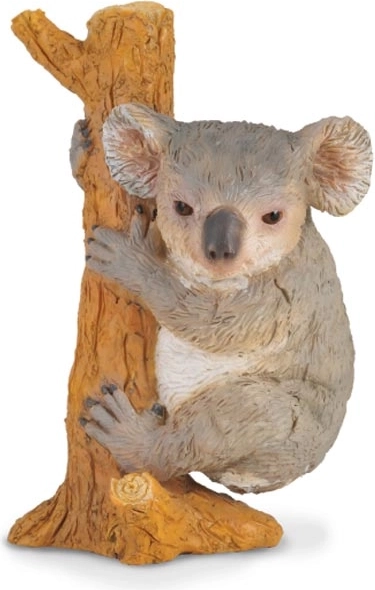 Koala na stablu