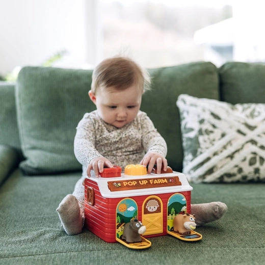 A developmental toy from 6 months