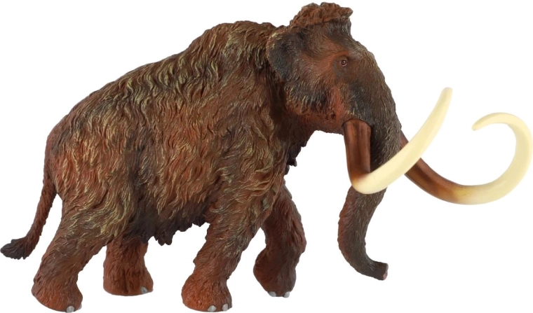 Vjerodostojna tekstura i bojenje