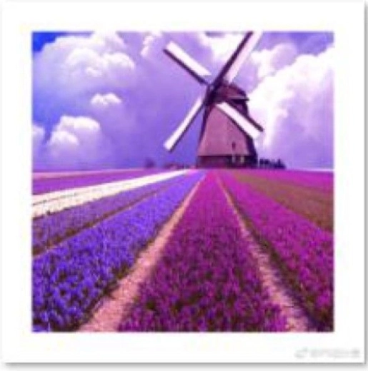 Diamond painting – windmill in a lavender field 30 × 30 cm