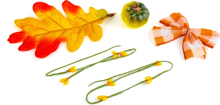 Warm autumn colours