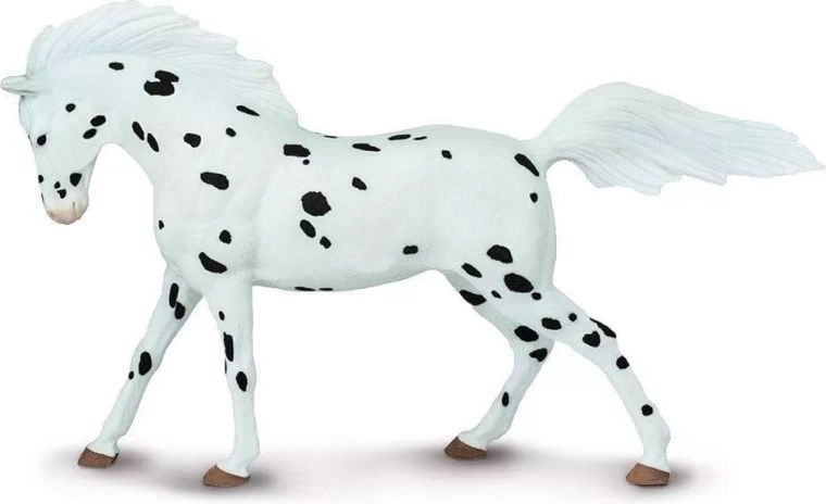 Realistic details and typical spotted coloring
